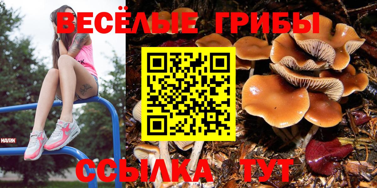 Галлюциногенные грибы Cubensis Лысьва